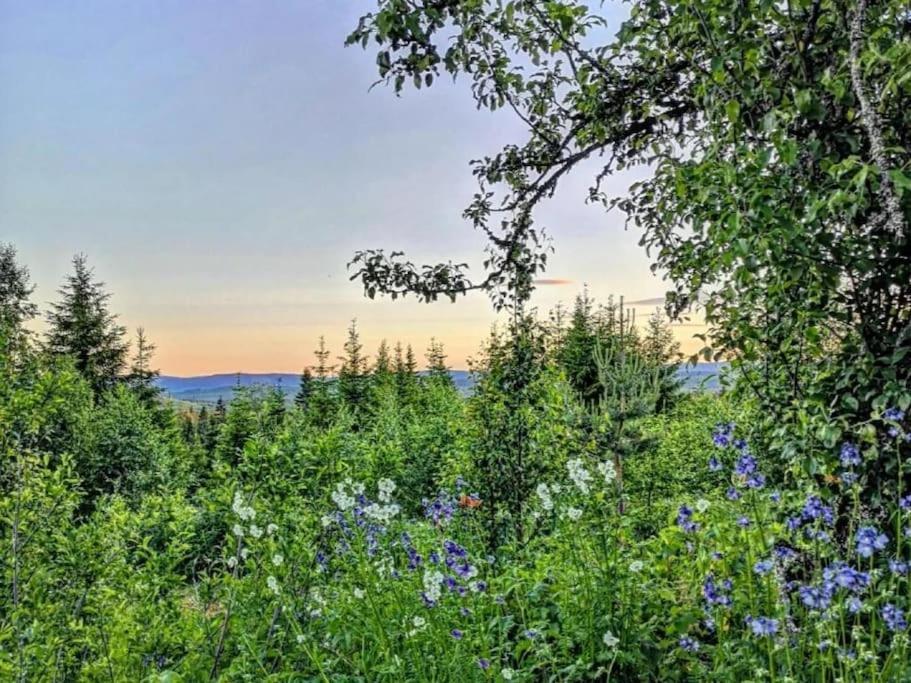 Forest Cabin With Stunning Mountain View & Sauna Турсбю Екстер'єр фото