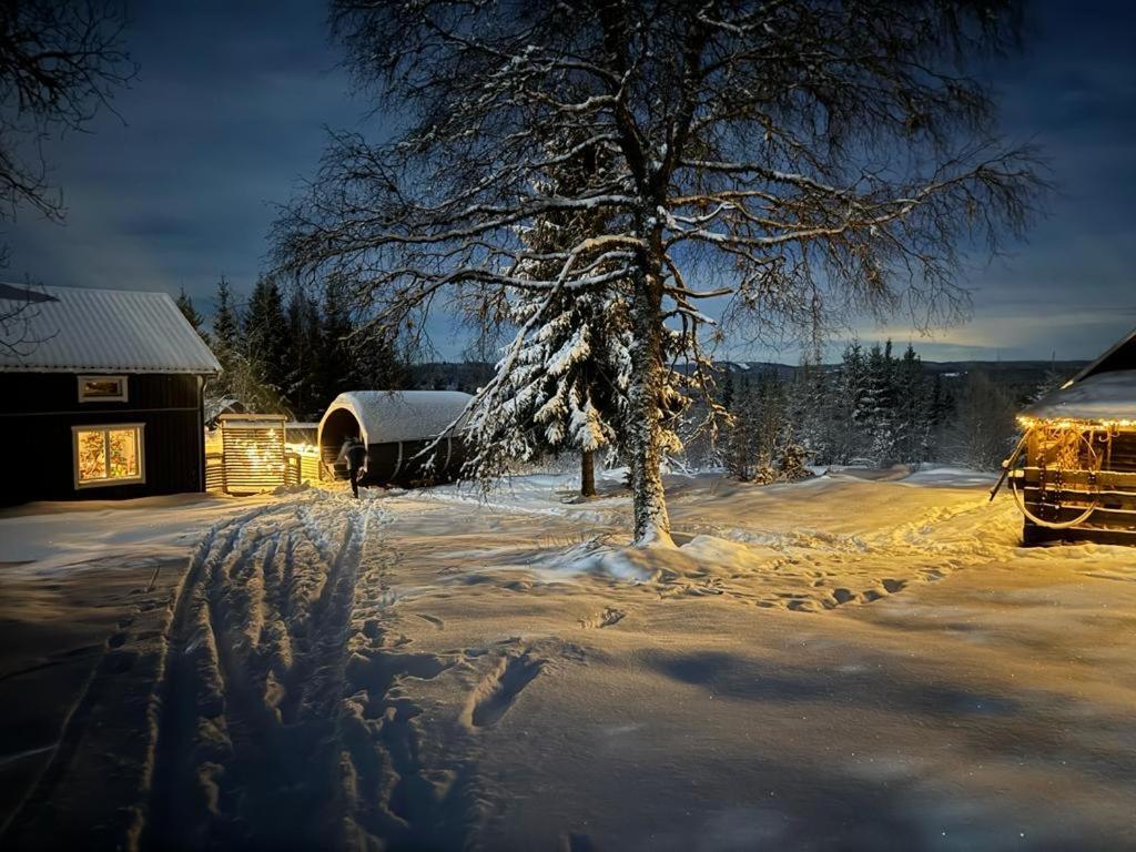 Forest Cabin With Stunning Mountain View & Sauna Турсбю Екстер'єр фото