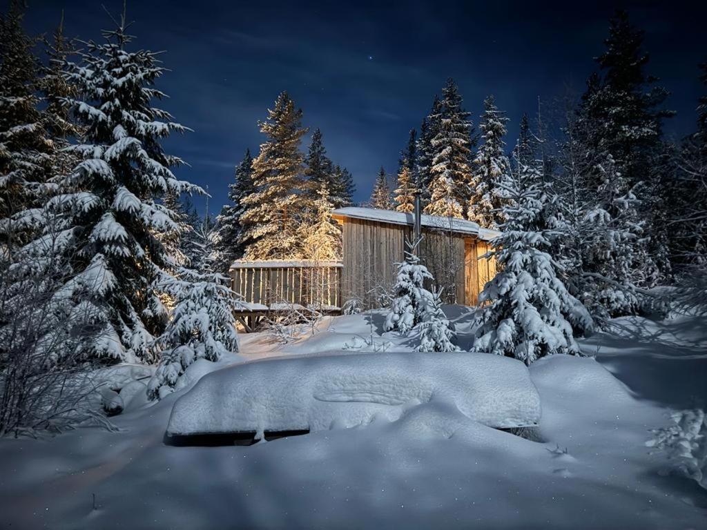 Forest Cabin With Stunning Mountain View & Sauna Турсбю Екстер'єр фото