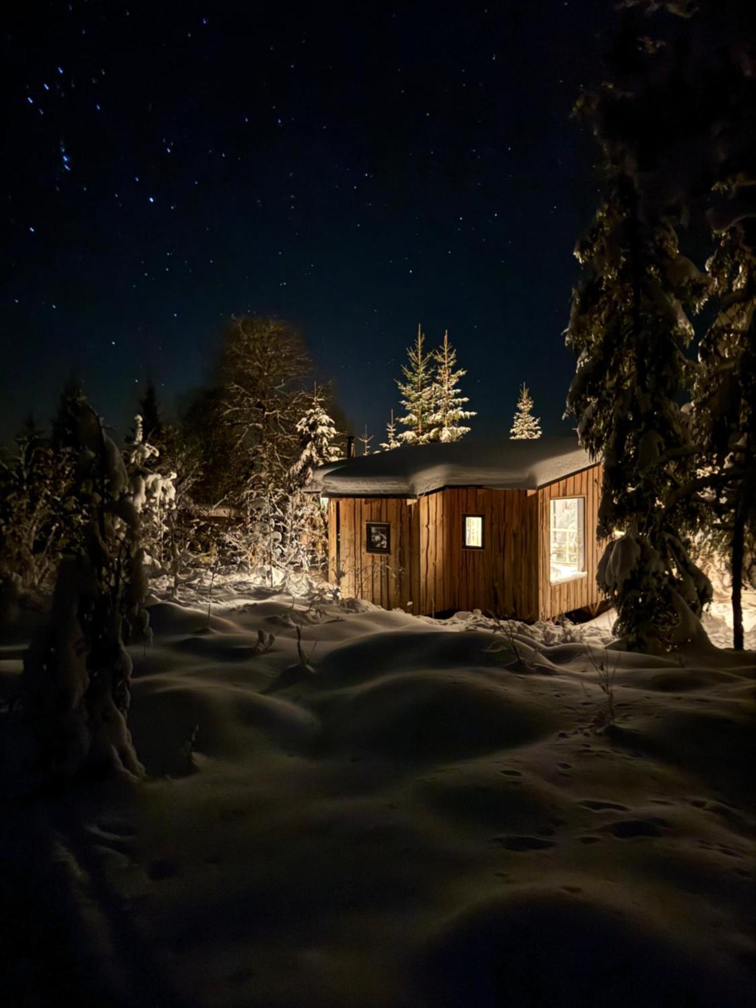 Forest Cabin With Stunning Mountain View & Sauna Турсбю Екстер'єр фото