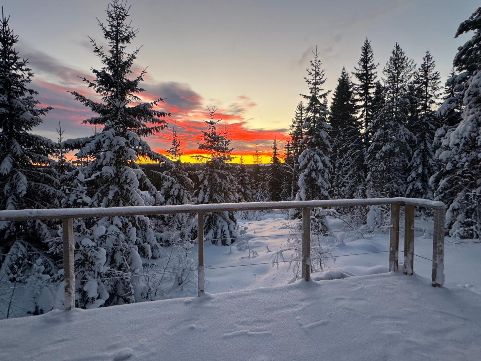 Forest Cabin With Stunning Mountain View & Sauna Турсбю Екстер'єр фото